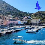 Apartman Isola Del Giglio Casa Nico E Casa Camilla Monticello Giglio Porto